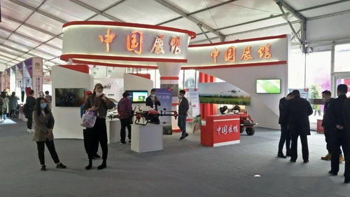 中俄蒙經貿洽談暨商品展銷會盛大開幕，云展會與批發貿易雙輪驅動