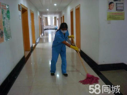 家庭保潔與專業清洗服務 打造潔凈舒適的家居環境